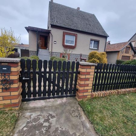 Ferienhaus Pusteblume Lübben Eksteriør billede